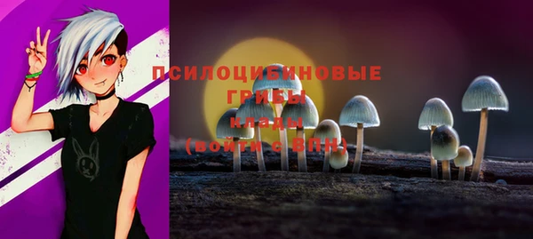 шишки Арсеньев