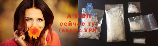 шишки Арсеньев