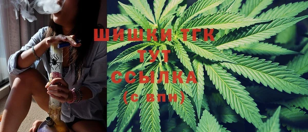 шишки Арсеньев