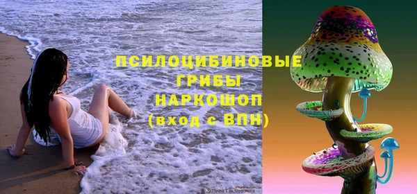 шишки Арсеньев