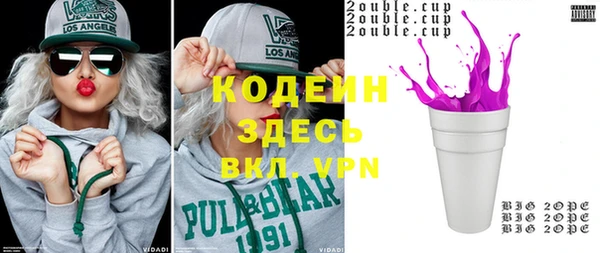шишки Арсеньев