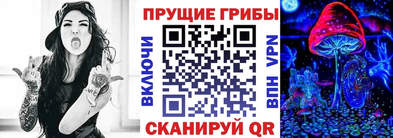 как найти закладки  Рославль  Псилоцибиновые грибы MAGIC MUSHROOMS 